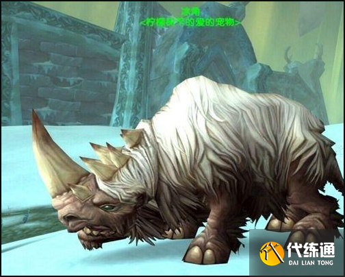 猎人稀有宠物大全