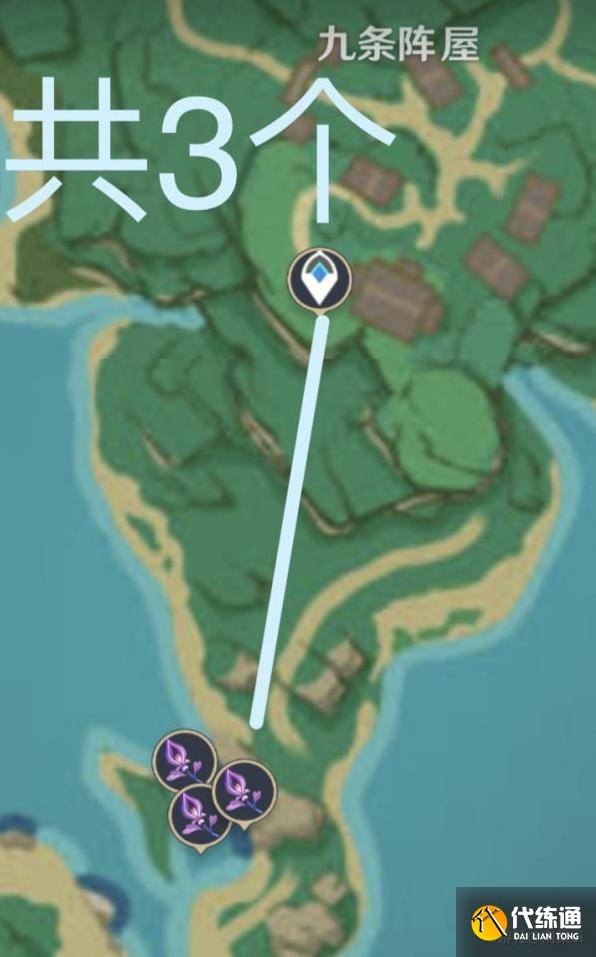 九条阵屋3株 九条阵屋3株