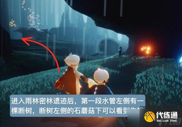 光遇雨林在哪跪拜先祖 雨林跪拜先祖位置介绍