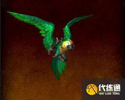 魔兽世界海岛探险坐骑有哪些 海岛探险坐骑一览