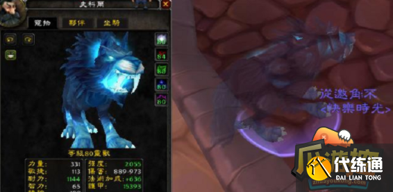 魔兽世界wlk灵魂兽怎么抓4.png 魔兽世界wlk灵魂兽怎么抓4.png