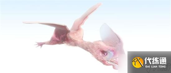 《妄想山海》速蜥龙刷新位置介绍