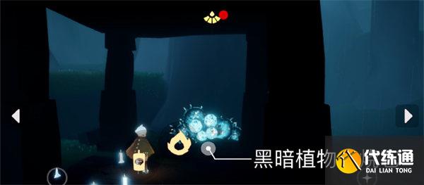 光遇8.19每日任务攻略2022 光遇8.19每日任务攻略2022