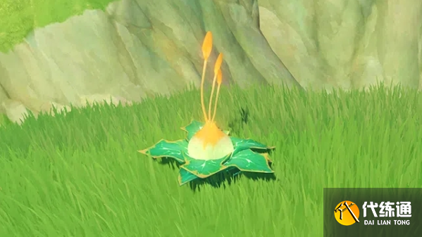 原神众叶觉蕊是什么 众叶觉蕊玩法攻略一览