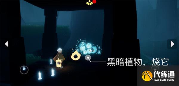 光遇8.21每日任务攻略2022