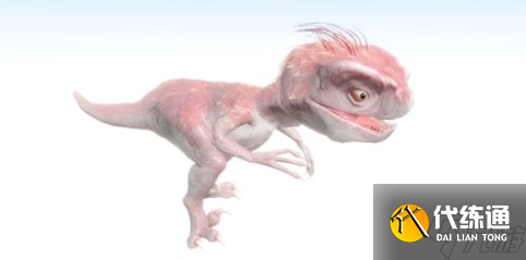 妄想山海速蜥龙怎样 妄想山海速蜥龙介绍一览