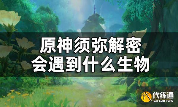 原神须弥新生物介绍 须弥解密会遇到什么生物