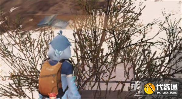 《明日之后》第五望火营宝箱位置介绍