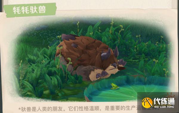 原神须弥全新敌人及生物一览 须弥有哪些新敌人和生物