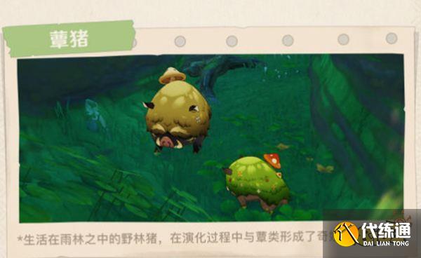 原神须弥全新敌人及生物一览 须弥有哪些新敌人和生物