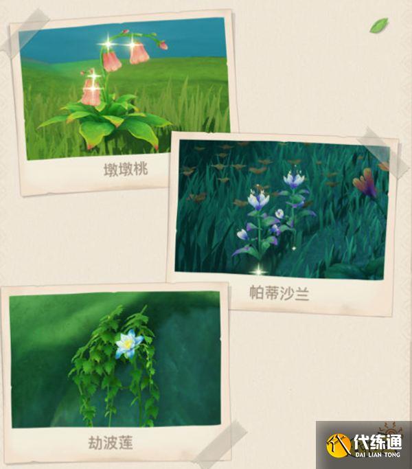 原神须弥全新敌人及生物一览 须弥有哪些新敌人和生物