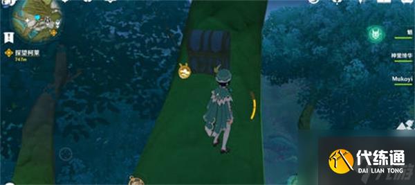 原神须弥主城宝箱位置详情 须弥主城宝箱攻略内容