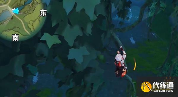 原神阿弥河谷左侧草神瞳位置一览 须弥阿弥河谷左侧草神瞳全收集路线