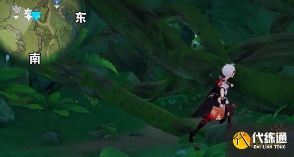 原神谒颂幽境草神瞳位置一览 须弥谒颂幽境草神瞳全收集路线