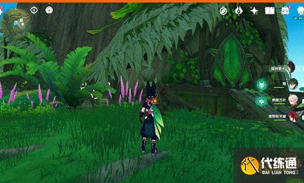 原神水天丛林华丽宝箱获取方式 水天丛林树屋解密要怎么做