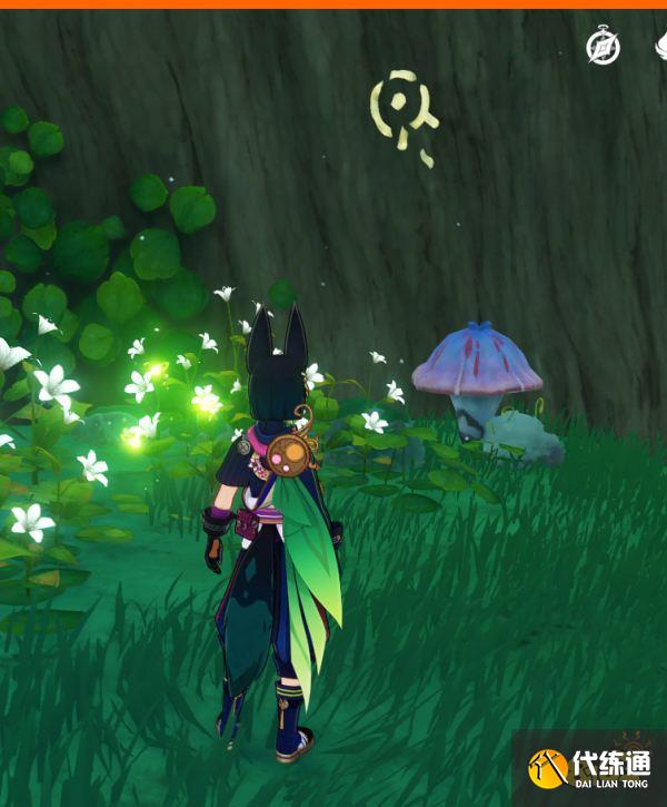 原神水天丛林华丽宝箱获取方式 水天丛林树屋解密要怎么做