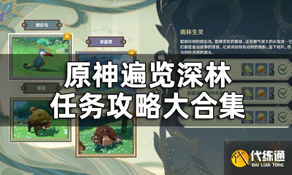 原神遍览深林任务攻略大合集 遍览深林四个活动任务要怎么做