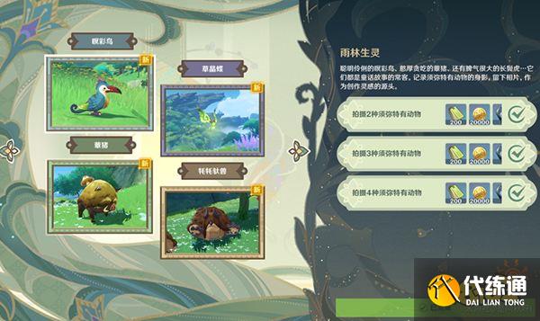 原神遍览深林任务攻略大合集 遍览深林四个活动任务要怎么做