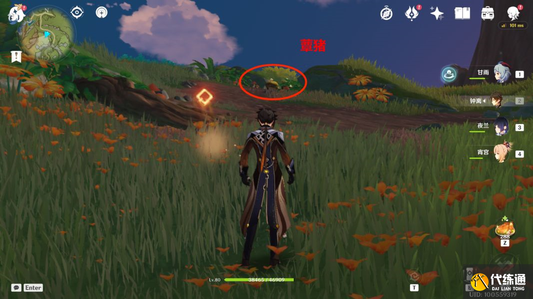 原神与珍惜之鸟的短暂邂逅任务攻略：与珍惜之鸟的短暂邂逅解密流程[多图]图片2