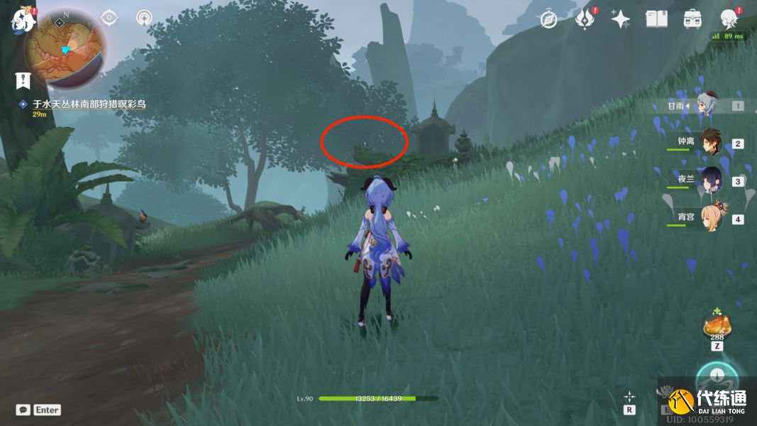 原神与珍惜之鸟的短暂邂逅任务攻略：与珍惜之鸟的短暂邂逅解密流程[多图]图片7