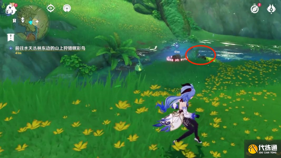 原神与珍惜之鸟的短暂邂逅任务攻略：与珍惜之鸟的短暂邂逅解密流程[多图]图片11