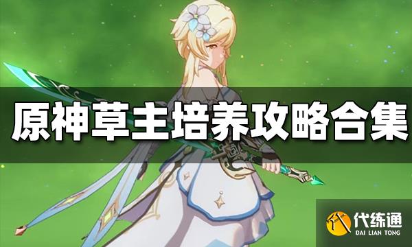 原神草主培养攻略合集 草主武器圣遗物配队攻略汇总