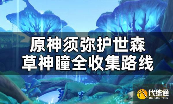 原神护世森草神瞳位置一览 须弥护世森草神瞳全收集路线