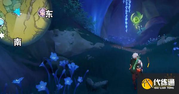 原神护世森草神瞳位置一览 须弥护世森草神瞳全收集路线