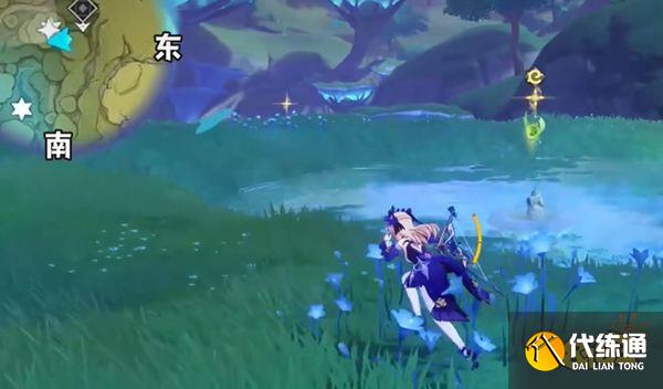 原神护世森草神瞳位置一览 须弥护世森草神瞳全收集路线