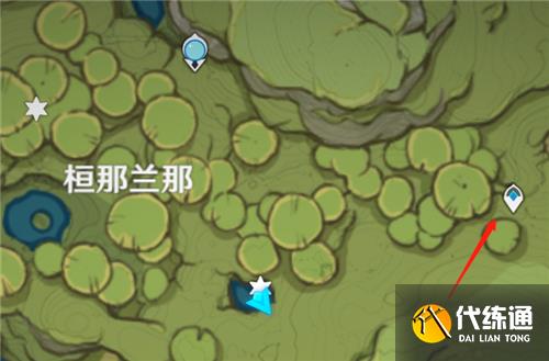 原神树王圣体菇在哪里买 卖树王圣体菇的商人位置图解