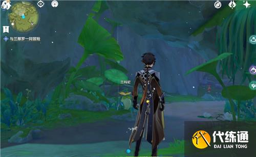 原神树王圣体菇在哪里买 卖树王圣体菇的商人位置图解