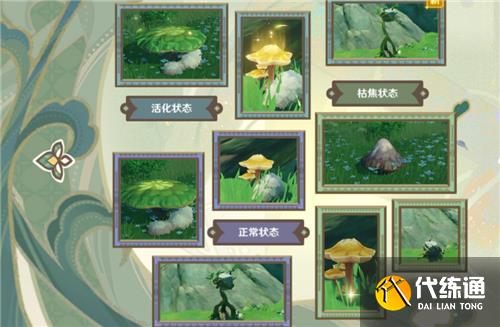 原神三相众物是什么 须弥哪些植物是三相众物