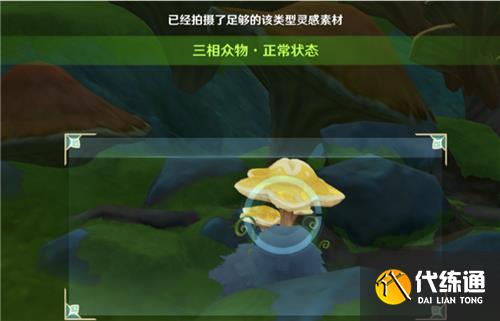 原神三相众物是什么 须弥哪些植物是三相众物