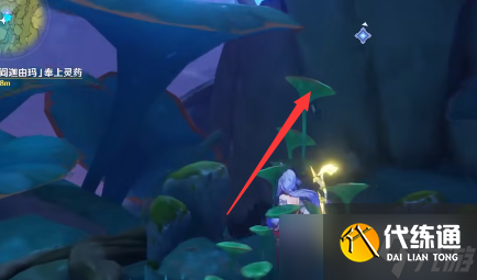 原神枯萎的苦舍桓怎么获得