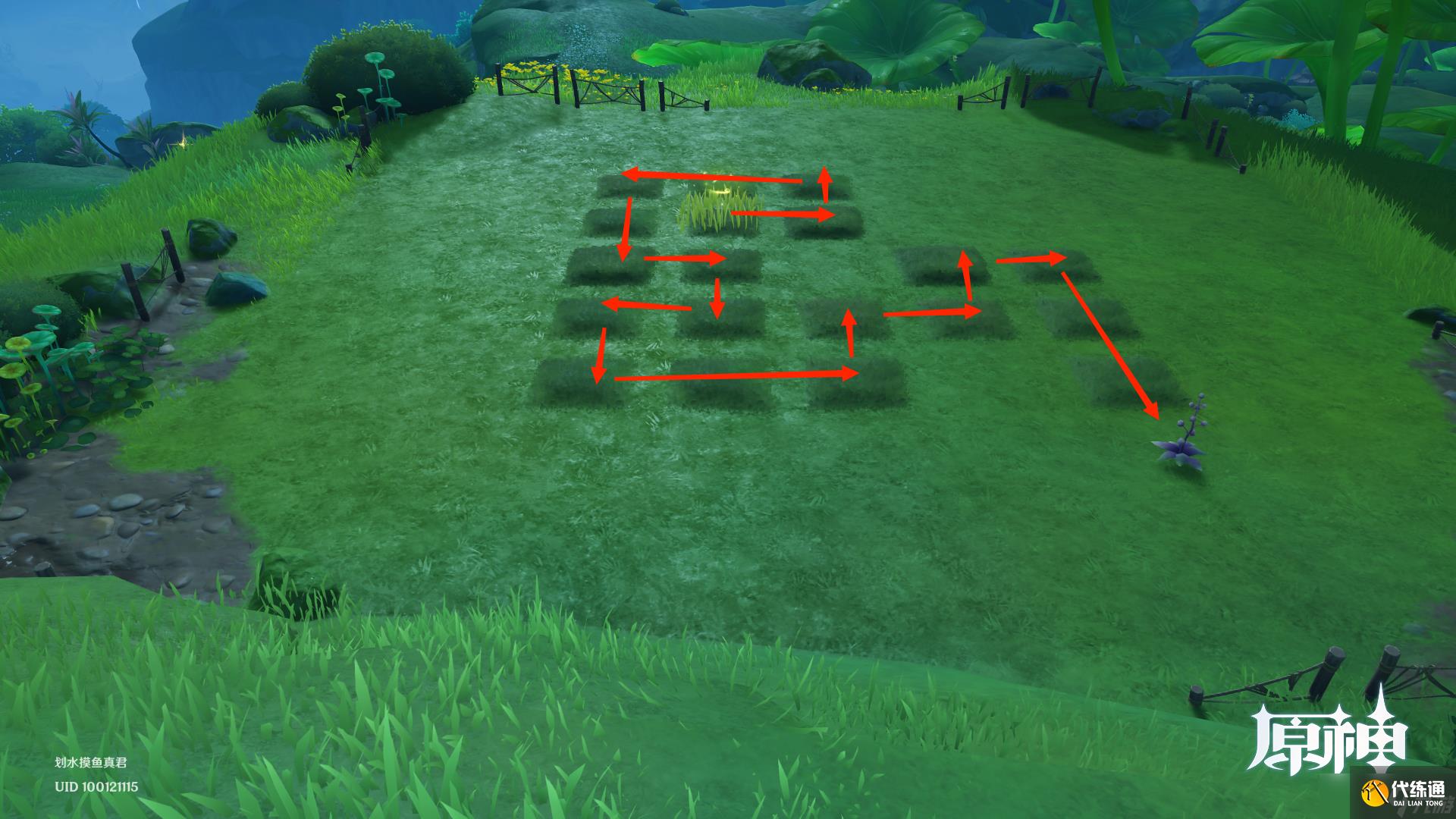 《原神》水天供书后续梦想花开时攻略