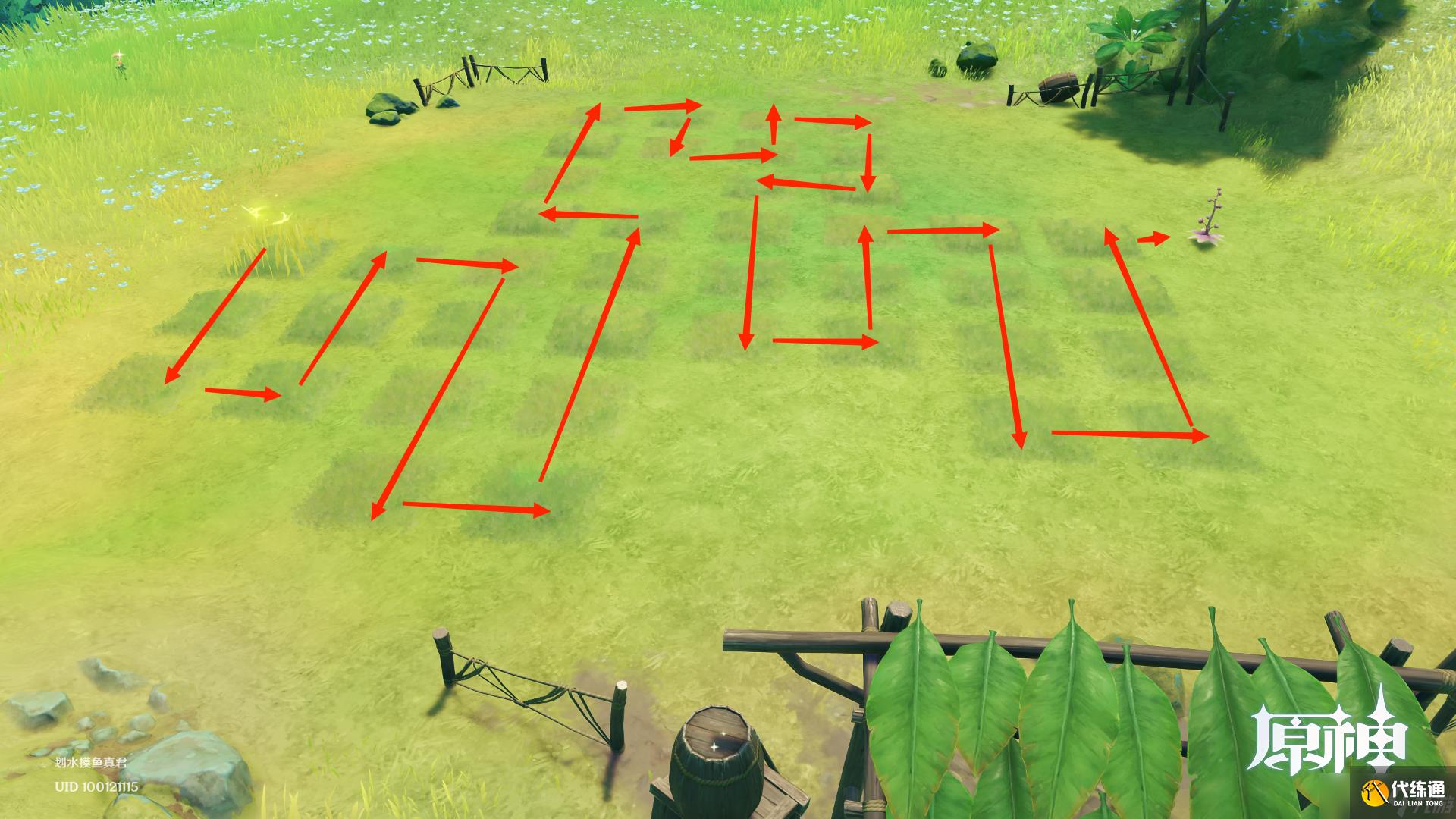 《原神》水天供书后续梦想花开时攻略