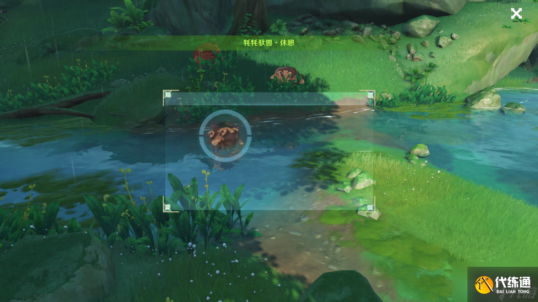 原神动物行为拍摄地点 掠影拾真动物行为攻略