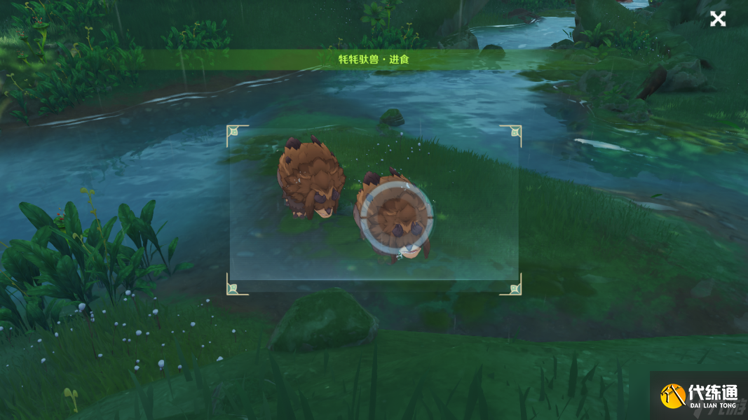 原神动物行为拍摄地点 掠影拾真动物行为攻略