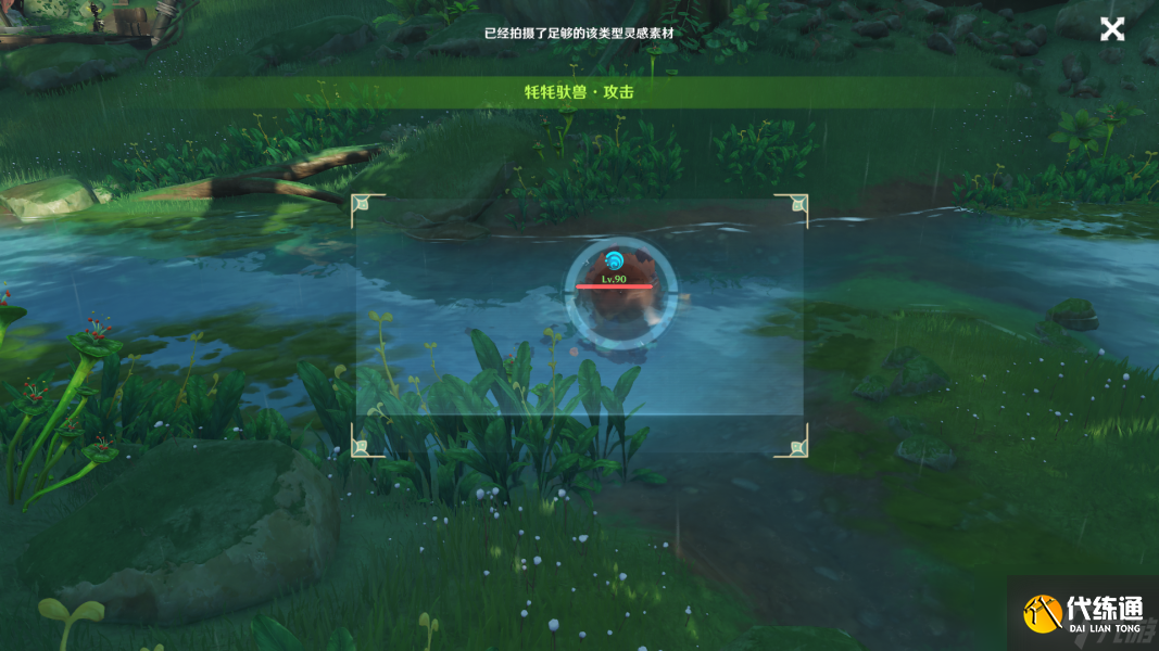 原神动物行为拍摄地点 掠影拾真动物行为攻略