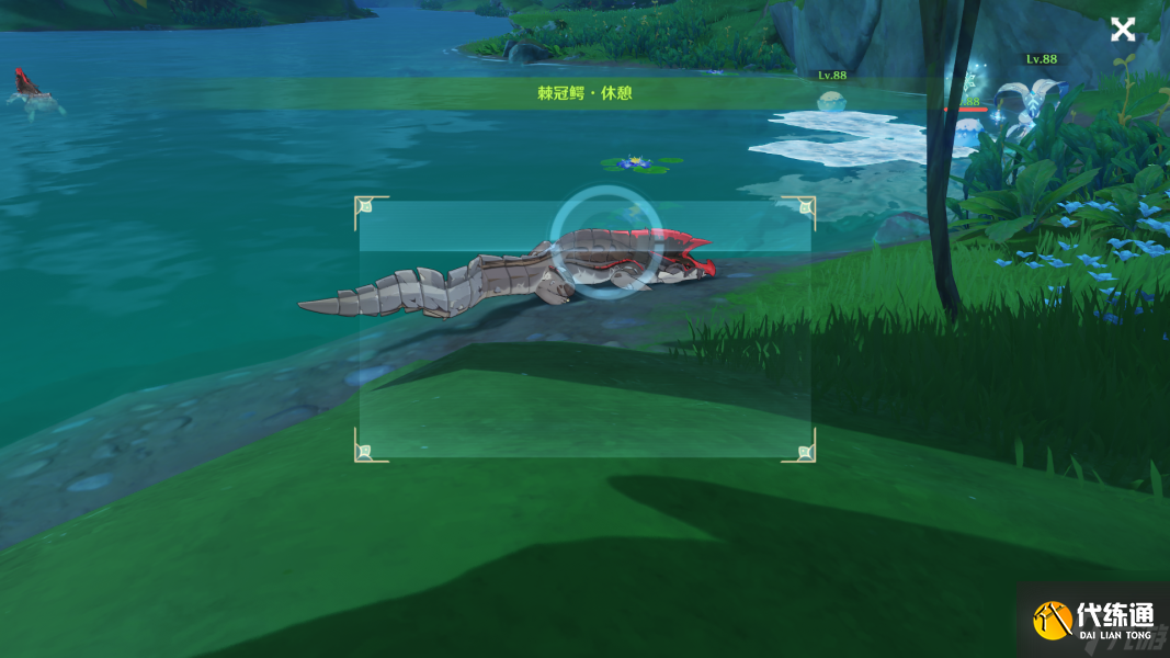 原神动物行为拍摄地点 掠影拾真动物行为攻略