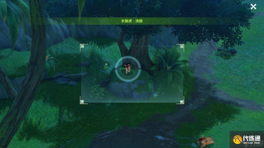 原神动物行为拍摄地点 掠影拾真动物行为攻略