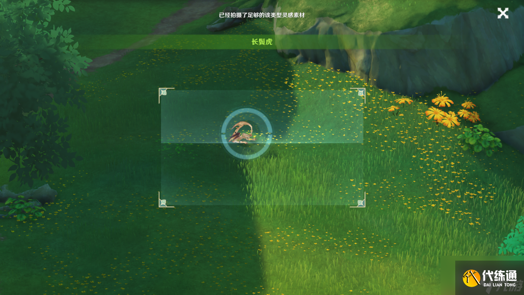 原神动物行为拍摄地点 掠影拾真动物行为攻略