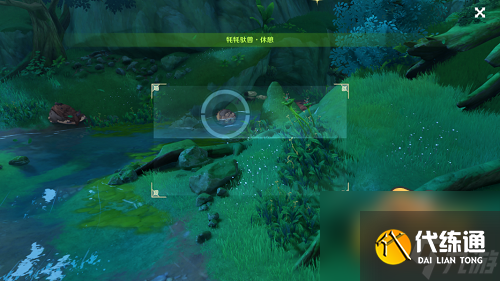 原神动物行为拍摄在哪-雕琢童心掠影拾真第三天攻略