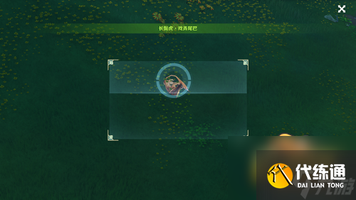 原神动物行为拍摄在哪-雕琢童心掠影拾真第三天攻略