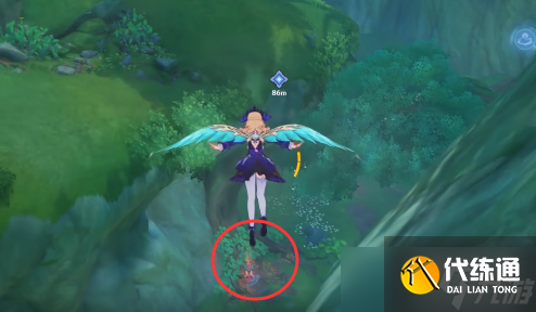 原神为了果实种子还有树任务攻略