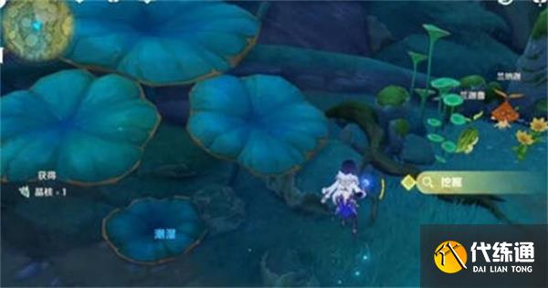 《原神》神秘的剪贴薄详细位置一览