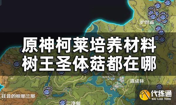 原神树王圣体菇收集路线一览 柯莱培养材料树王圣体菇都在哪