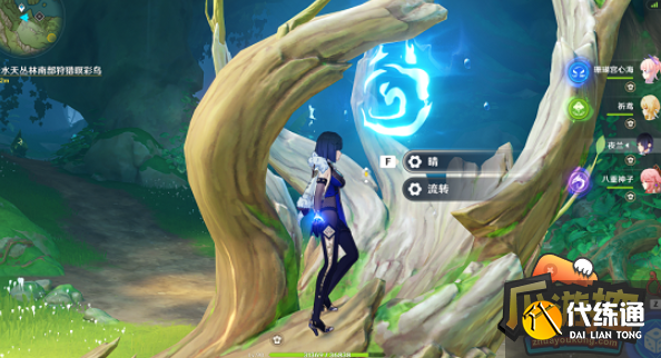 原神与珍稀之鸟的短暂邂逅任务怎么做,原神与珍稀之鸟的短暂邂逅任务完成攻略