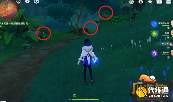 原神与珍稀之鸟的短暂邂逅任务怎么做,原神与珍稀之鸟的短暂邂逅任务完成攻略