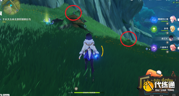 原神与珍稀之鸟的短暂邂逅任务怎么做,原神与珍稀之鸟的短暂邂逅任务完成攻略